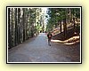 DSCF0724.JPG